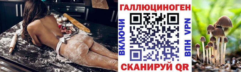наркотики  Петров Вал  Псилоцибиновые грибы мухоморы 